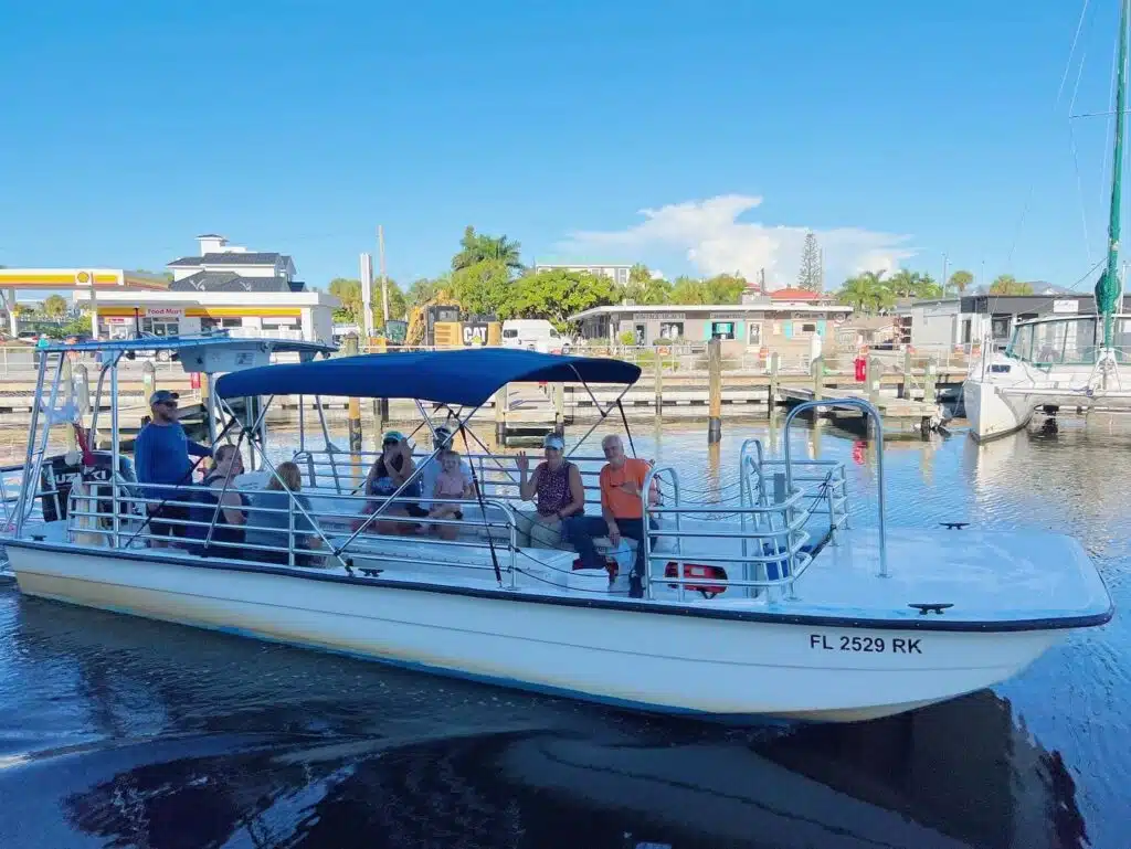 Dolphin Tours Anna Maria Island