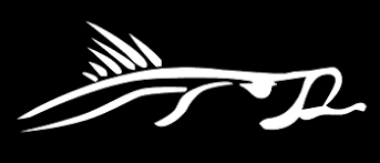 Fish AMI logo