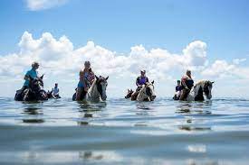 Beach Horseback Riding Anna Maria Island